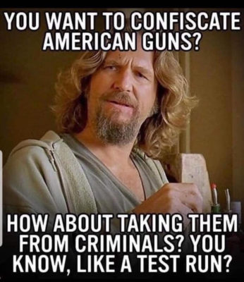 Gun Confiscation
