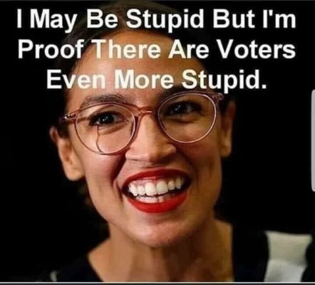 Stupid AOC Stupider voters