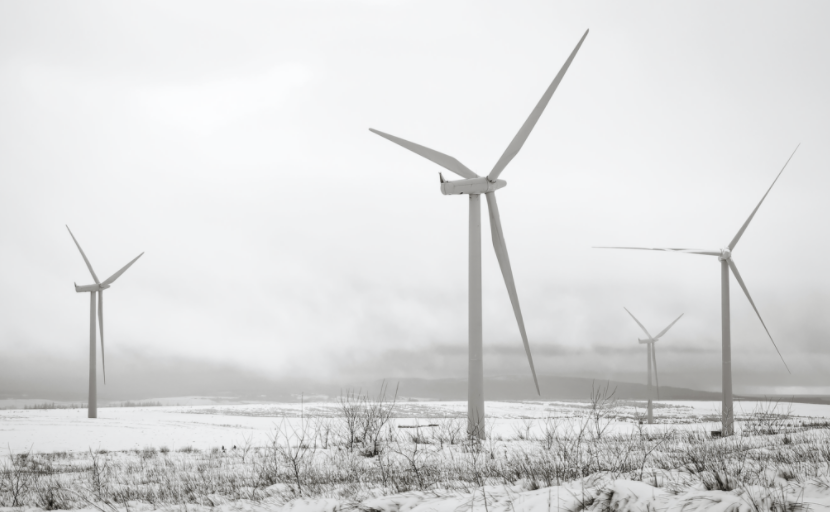 wind farm