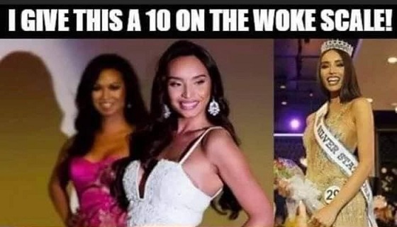 Progressives believe men can be better women than women FI