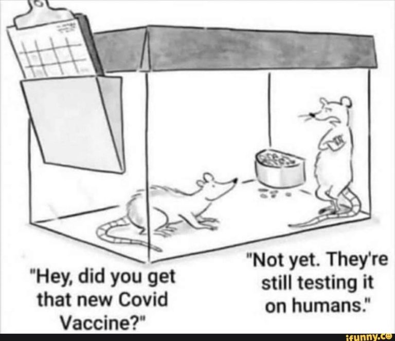 rats covid vaccine