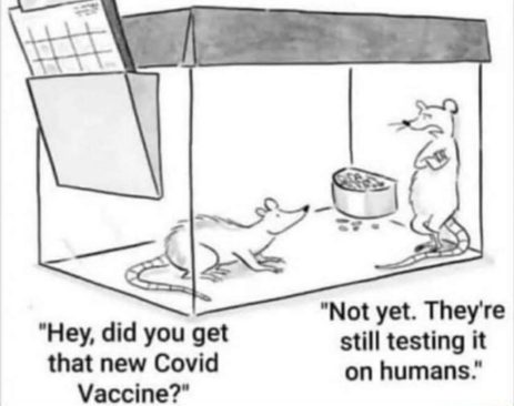 rats covid vaccine