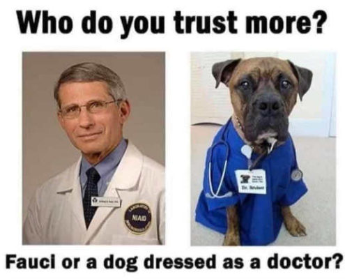 Fauci or your dog