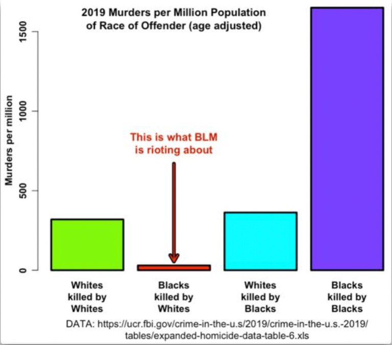 2019 Murders per Million by Race