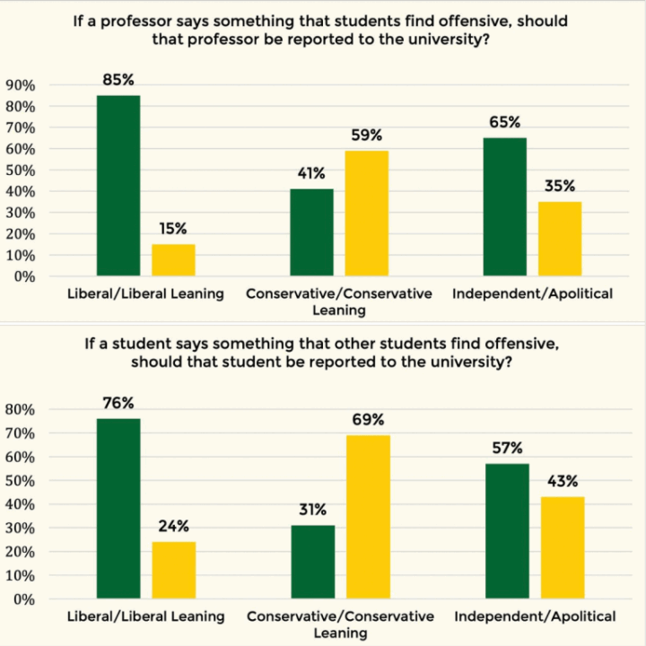 Offensive speech - snitch