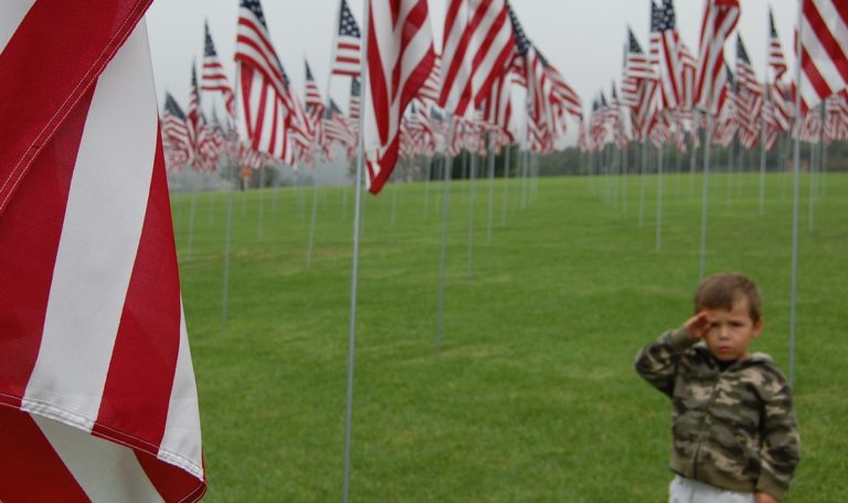 Salute Flag America Pride