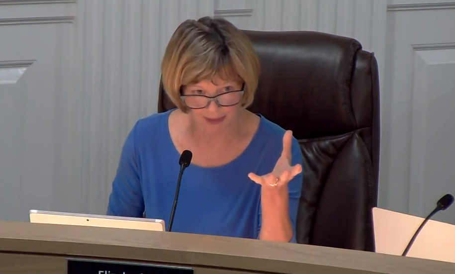 Elizabeth Lu Nashua Alderman WArd 6