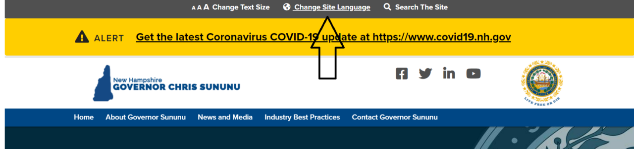 NH Gov Page languages
