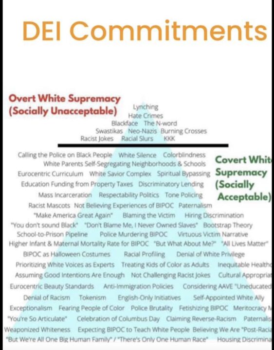 DEI Commitments SAU 16