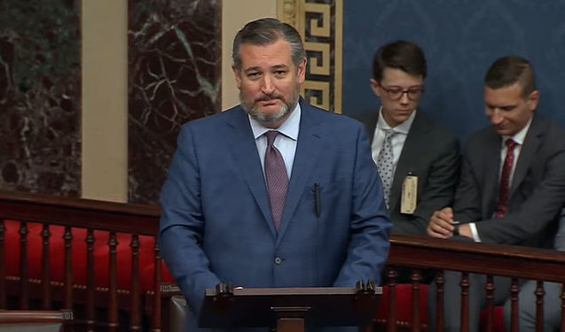 Ted Cruz US Senate Screen Grab The Hill.com video