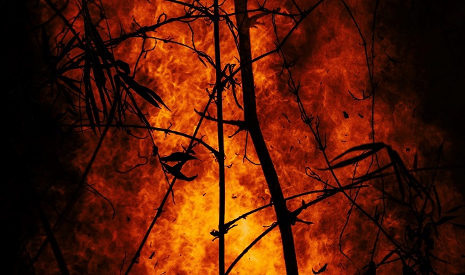 Fire forest fire original Photo by Benjamin Lizardo on Unsplash