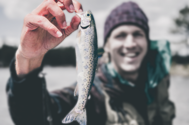 We caugh us a tiny little fish Original Photo by Jakob Owens on Unsplash 400x