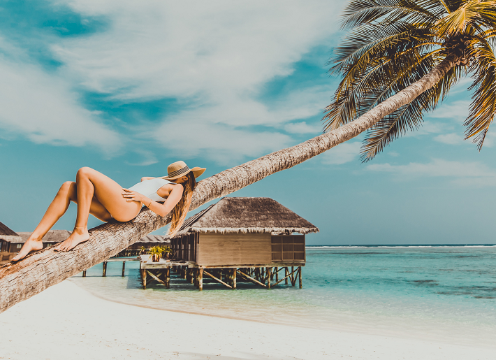 Beach palm tree maldives