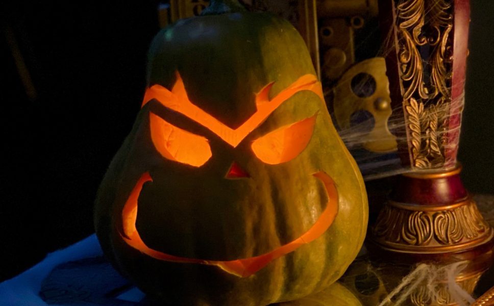 Grinch Photo by Andreas Avgousti on Unsplash