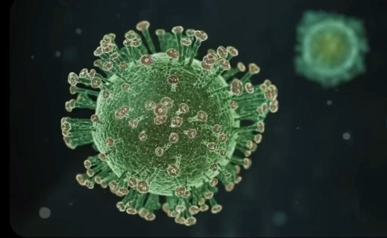 Ivermectin Story screen grab - SARS CoV2 image