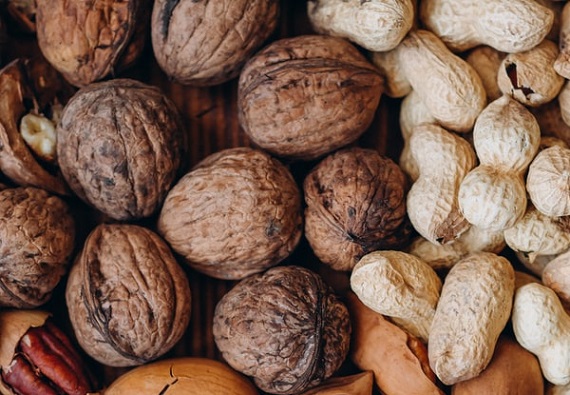 Nuts raspopova-marina-PHIJC0jpx9U-unsplash