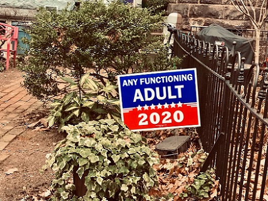 Any Functioning Adult 2020maria-thalassinou-NCYGoHHRr_0-unsplash