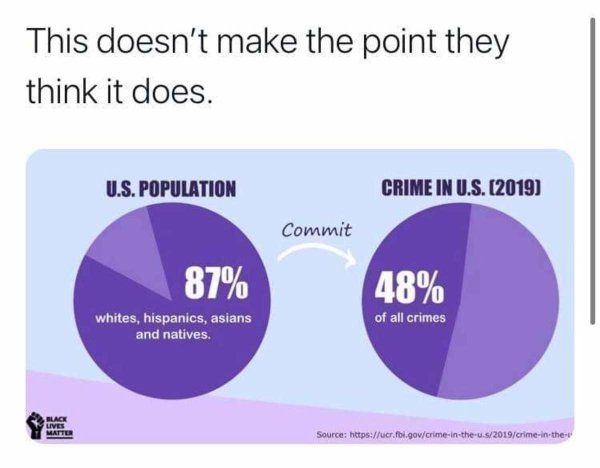BLM and US Crime Stats