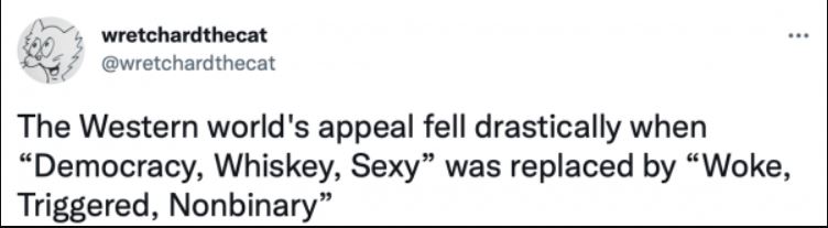 Democracy Whiskey Sexy vs Woke Triggered Nonbinary