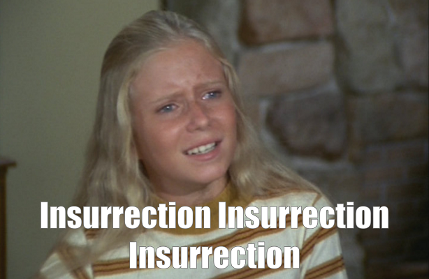 Jan Brady the Insurrection