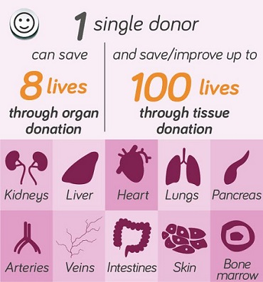 Organ Donation PInterest bb0c061b7fe61c9d3c4b2b246f45c9af