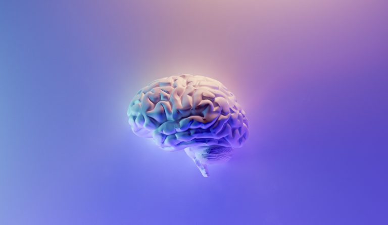 Uman Brain Original Photo by Fakurian Design on Unsplash