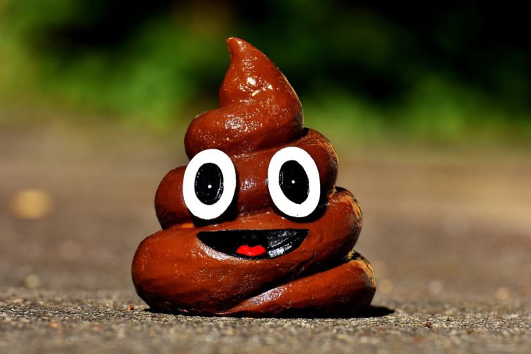 feces-Poop poop emoji figure Pixaby