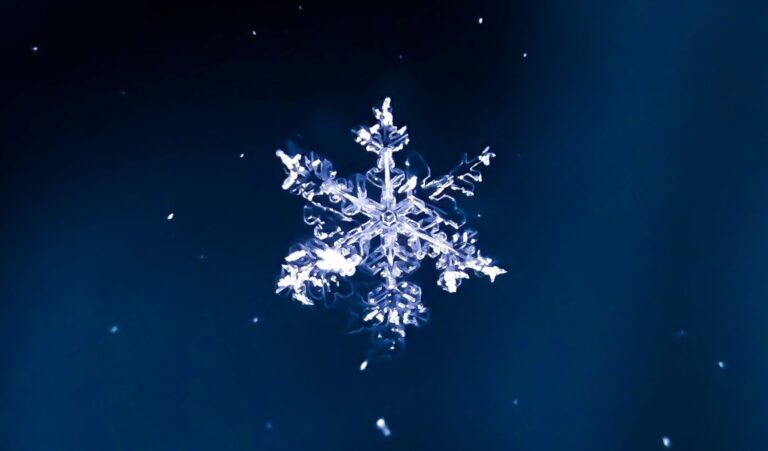 photo of a Snowflake original Photo by Darius Cotoi on Unsplash