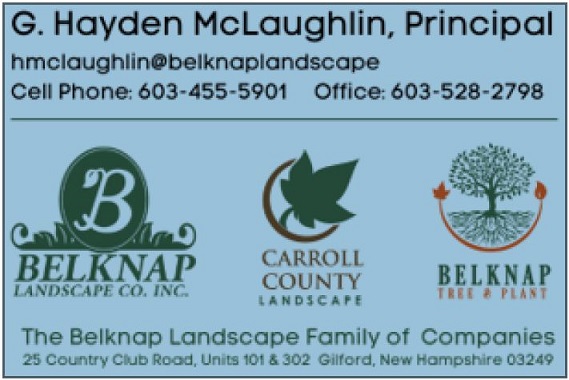 Hayden McLaughlin Belknap Landscape