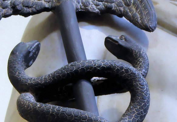 Caducaes Original Photo by Anne Nygård on Unsplash