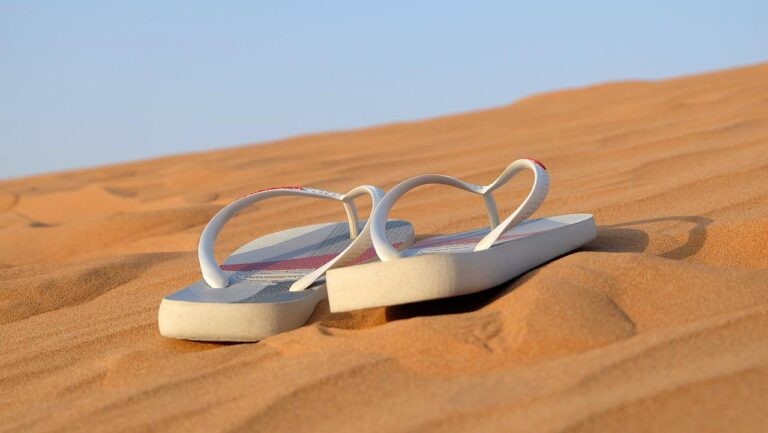 Flip flops Image by Leonardo Valente from Pixabay