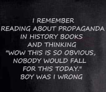 reading about propaganda