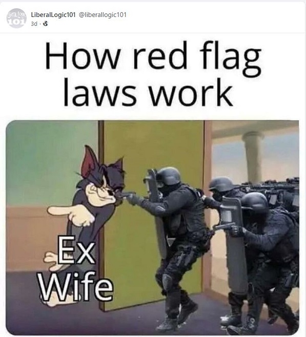 How Red Flag Laws Work meme Liberal Logic 101 on Gab