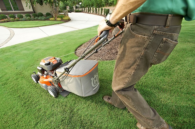 Lawnmower, mower, lawn Image by Pexels from Pixabay