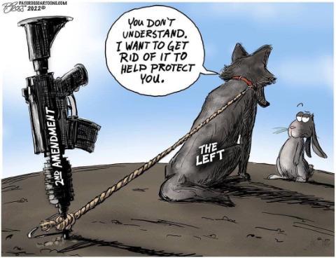 second amendment as an anchor