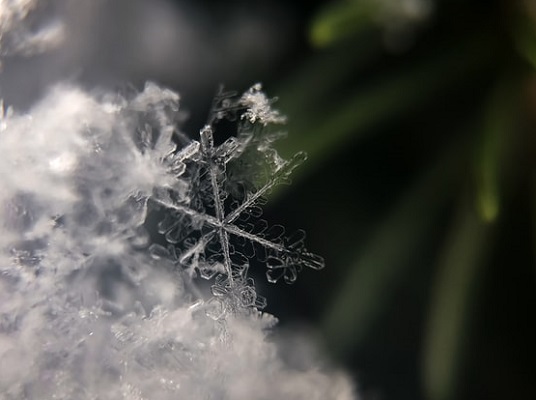 snow ice cold original Photo by Aaron Burden on Unsplash