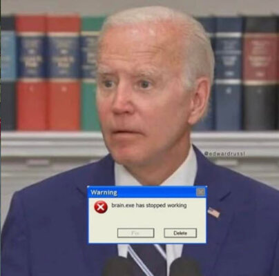 Biden-12 Brain.ese has stopped working