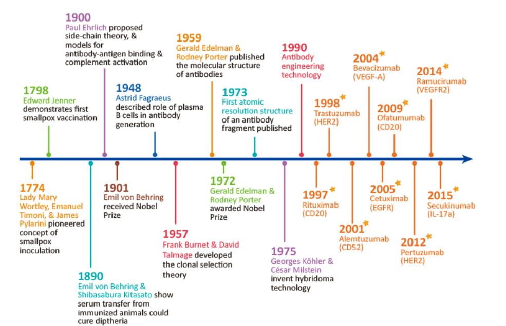 History of the discovery of antibodies
