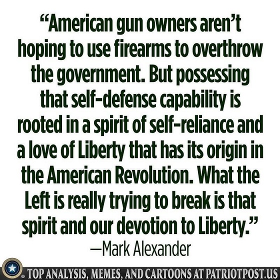 Mark Alexander Second Amendment break our spirit and devotion to Liberty Liberal Logic 101