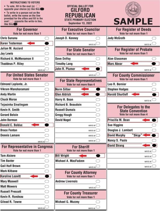 2022 Republican Primary Ballot Gilford Resized 2
