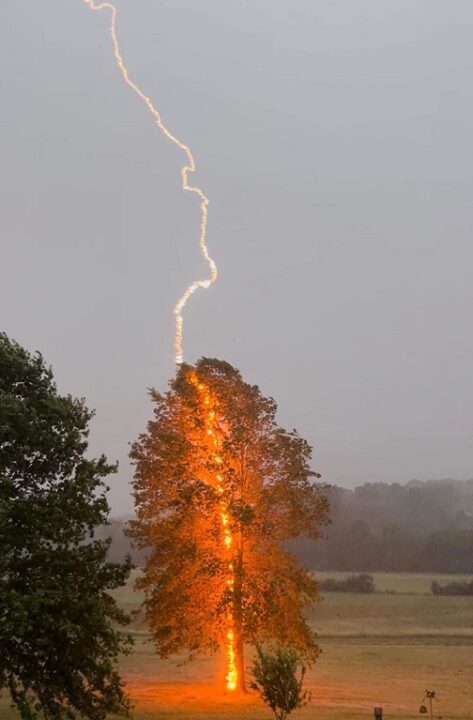 5dl5c-tree-hit-by-lightning Via @AnthonyWCHS / Credit: Debbie Parker
