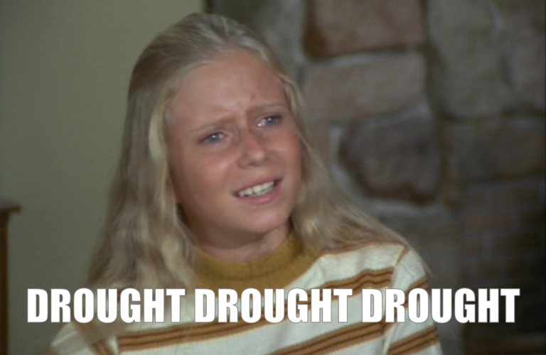Jan Brady Drought Drought Drought