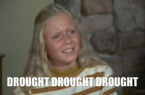 Jan Brady Drought Drought Drought