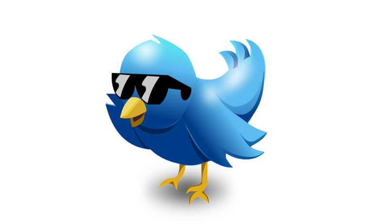 Twitter bird in Shades