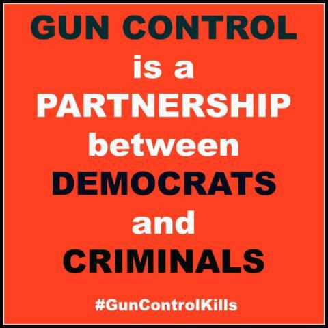 gun control is a partnership