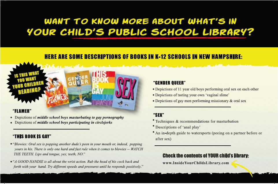 GrokPAC Mailer 2022 NH House campaign