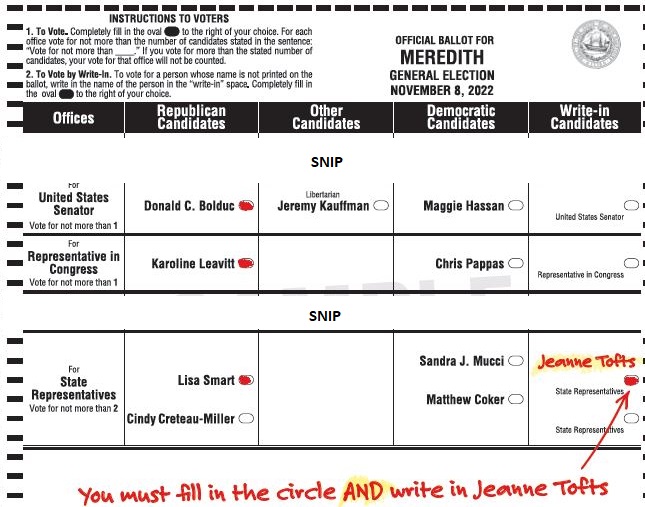 Meredith Sample Ballot Page_1
