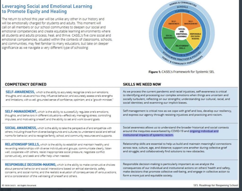 Transformative SEL 3