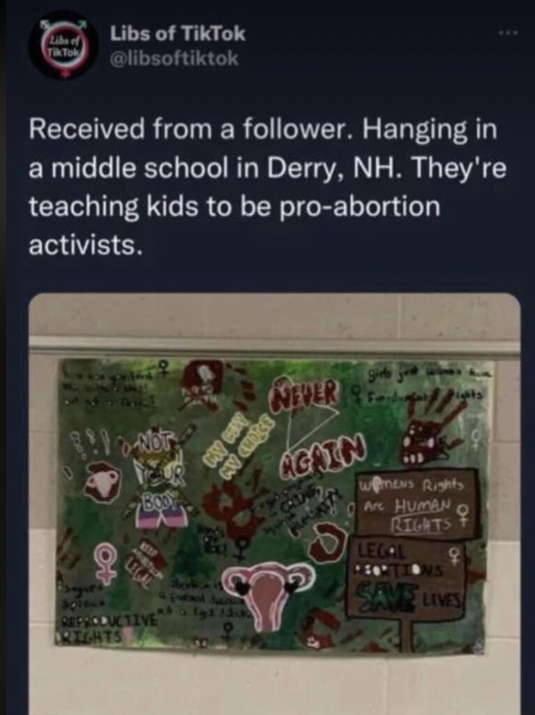 Libs of Tik Tok Derry teaching kids to be abortion activists