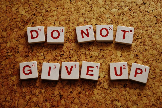 do not give up Image by Alexa from Pixabay